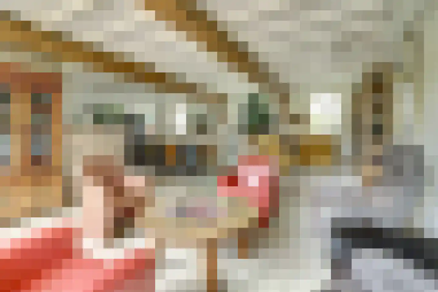 Gelderstraat 54 Hilvarenbeek thumbnail 18