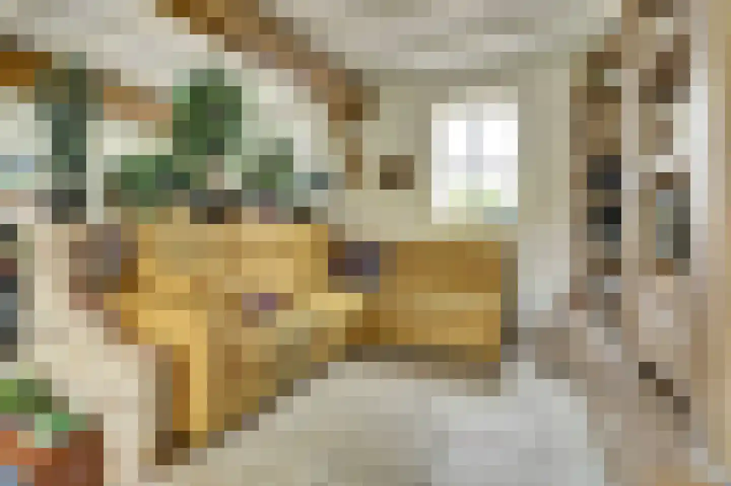 Gelderstraat 54 Hilvarenbeek thumbnail 19