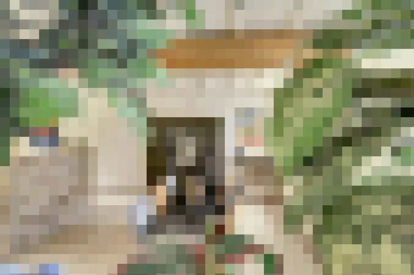 Gelderstraat 54 Hilvarenbeek thumbnail 20