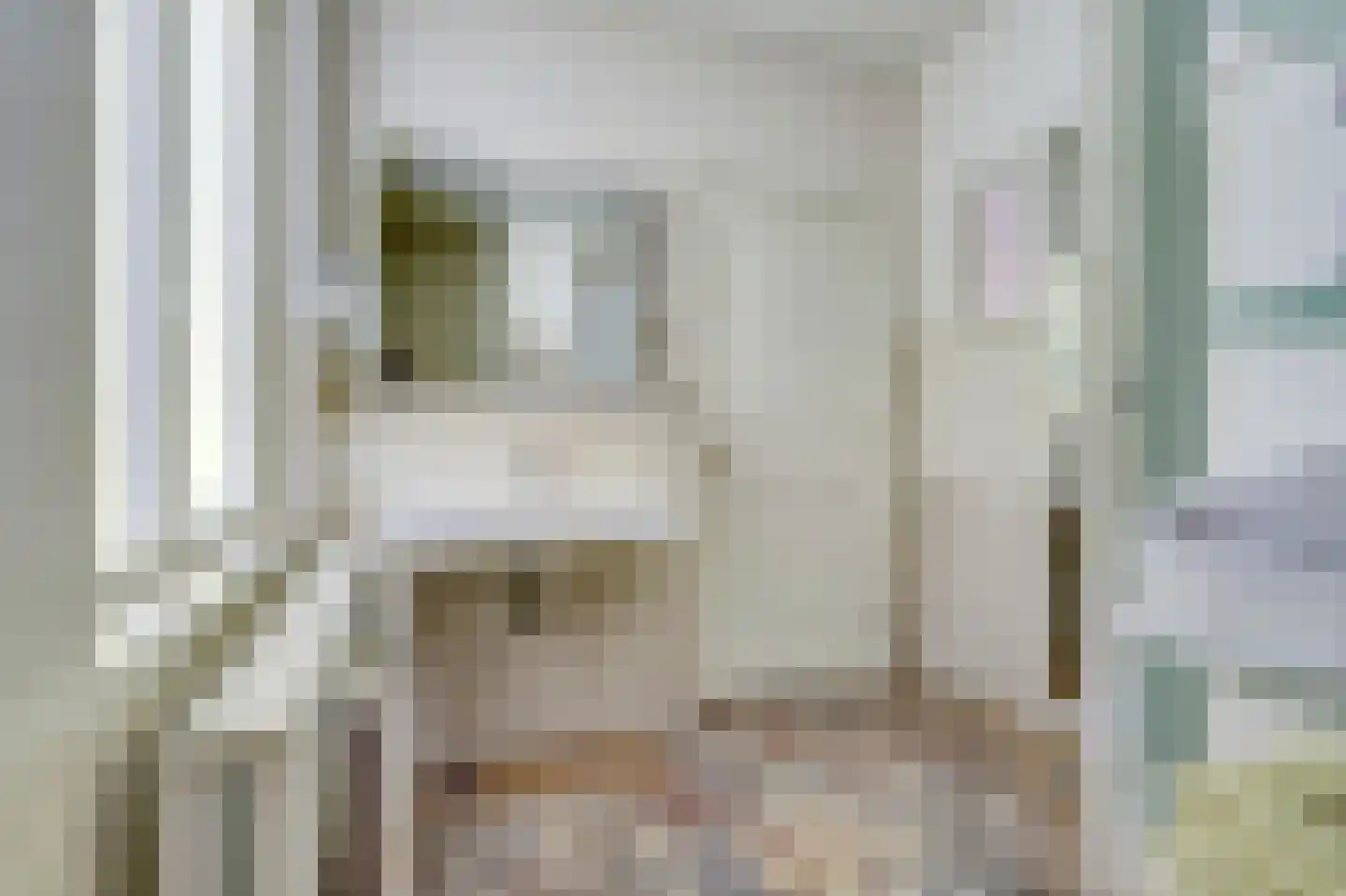 Gelderstraat 54 Hilvarenbeek thumbnail 22