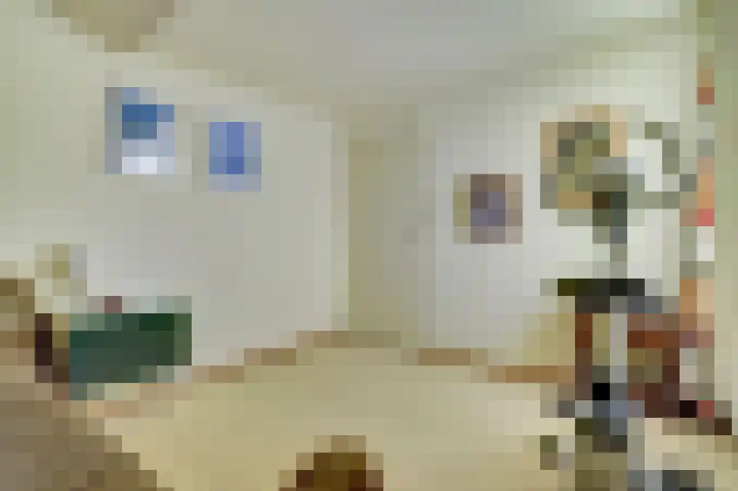 Gelderstraat 54 Hilvarenbeek thumbnail 34