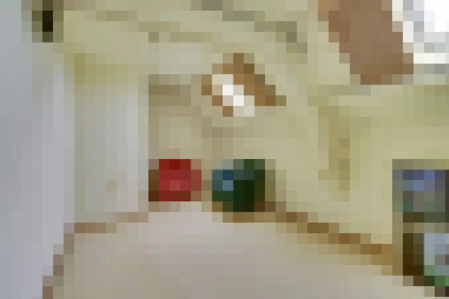 Gelderstraat 54 Hilvarenbeek thumbnail 37
