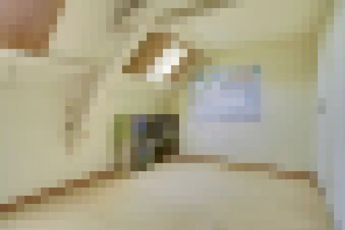Gelderstraat 54 Hilvarenbeek thumbnail 38