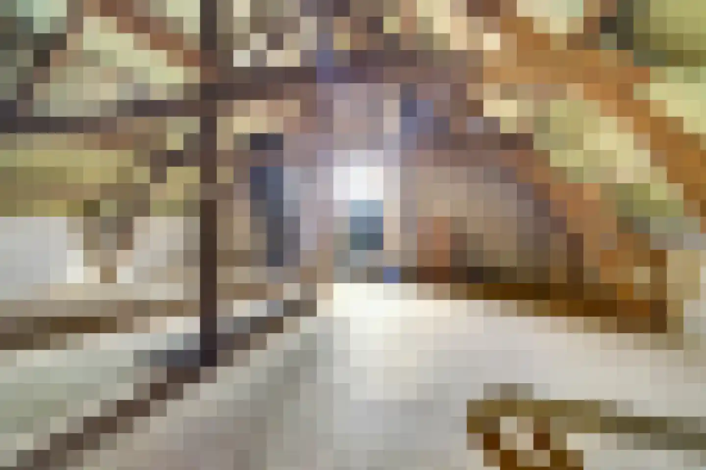 Gelderstraat 54 Hilvarenbeek thumbnail 39