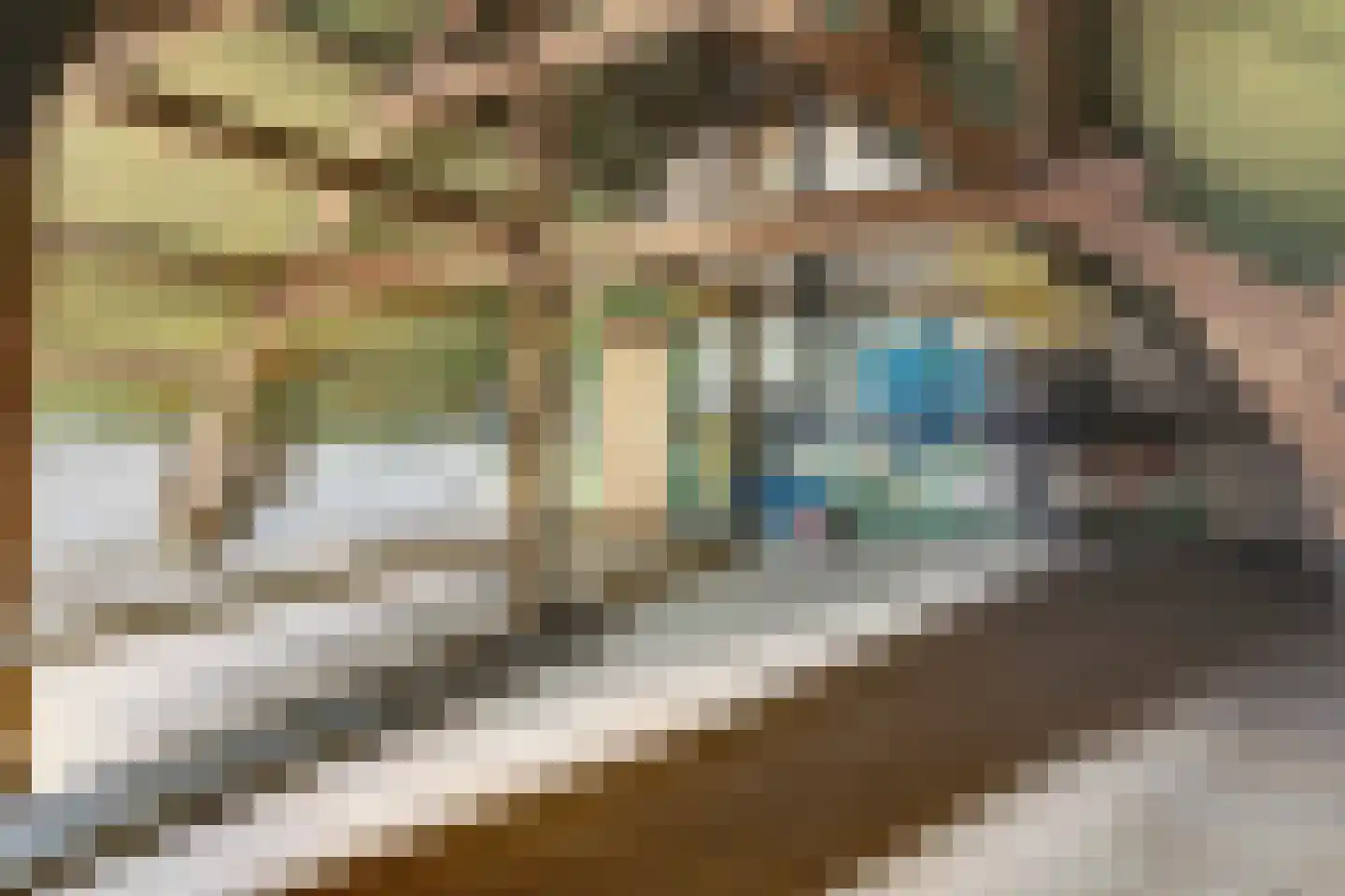 Gelderstraat 54 Hilvarenbeek thumbnail 40