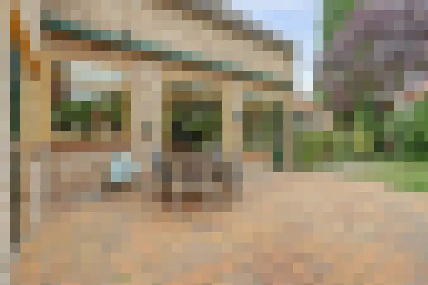 Gelderstraat 54 Hilvarenbeek thumbnail 42