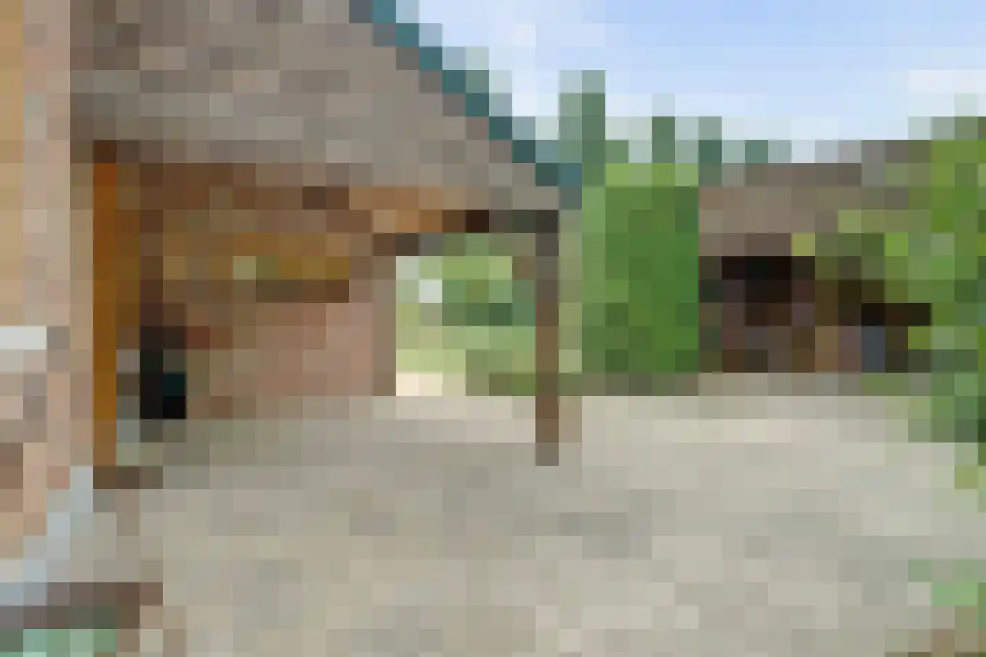 Gelderstraat 54 Hilvarenbeek thumbnail 44