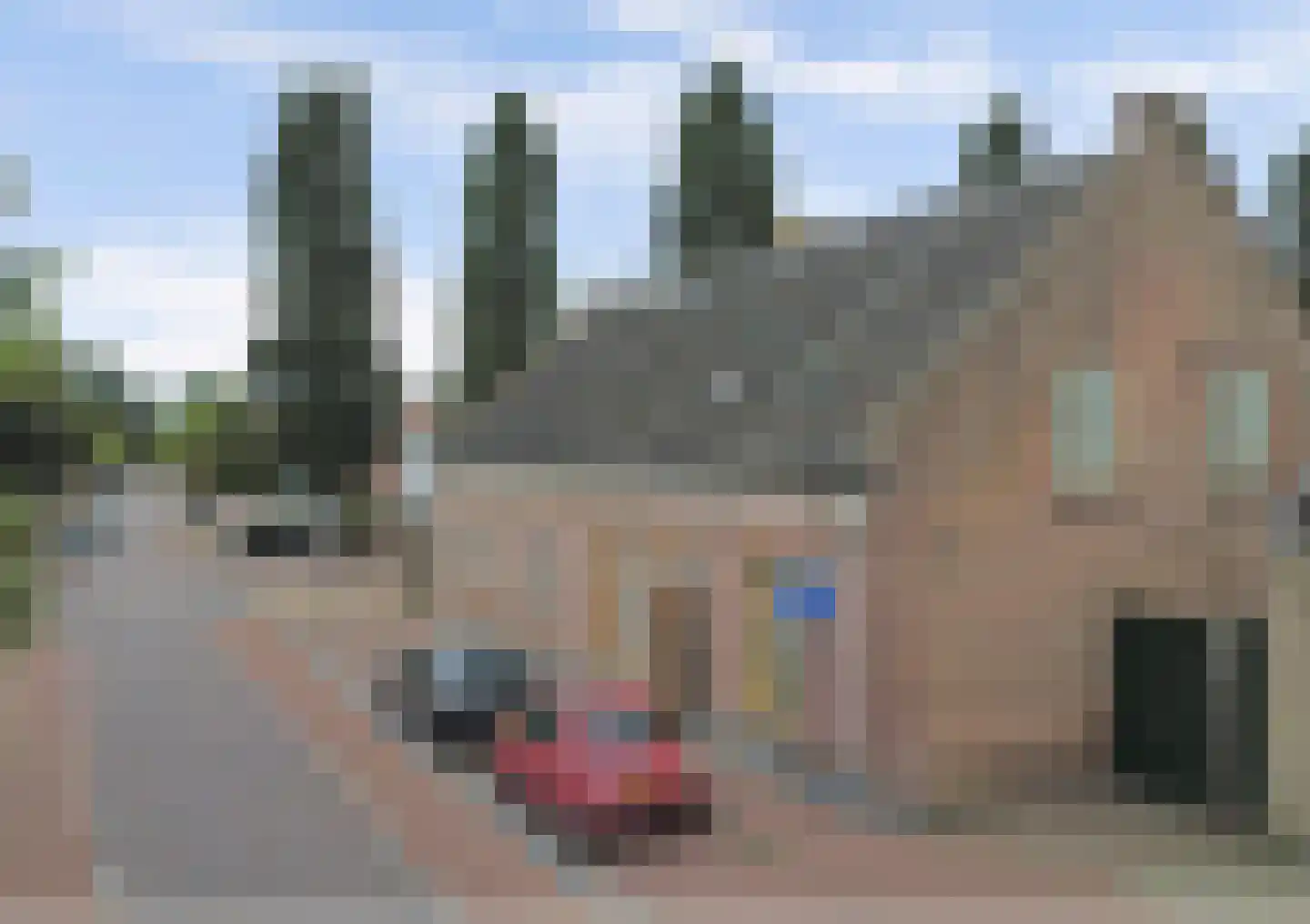 Gelderstraat 54 Hilvarenbeek thumbnail 53