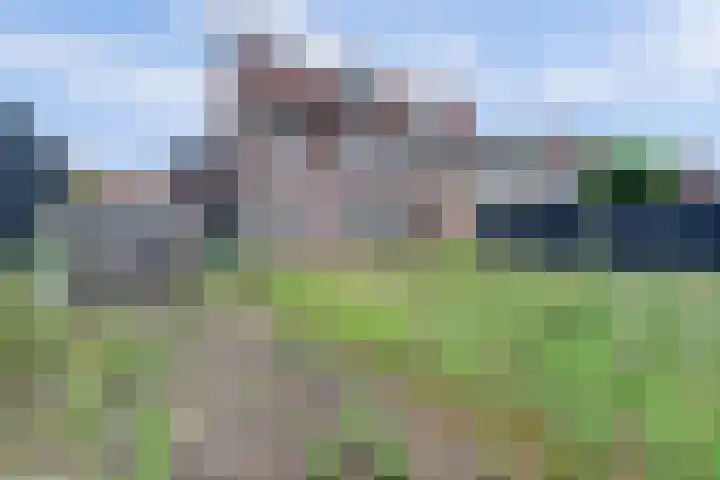 Gelderstraat 66 Hilvarenbeek thumbnail 30