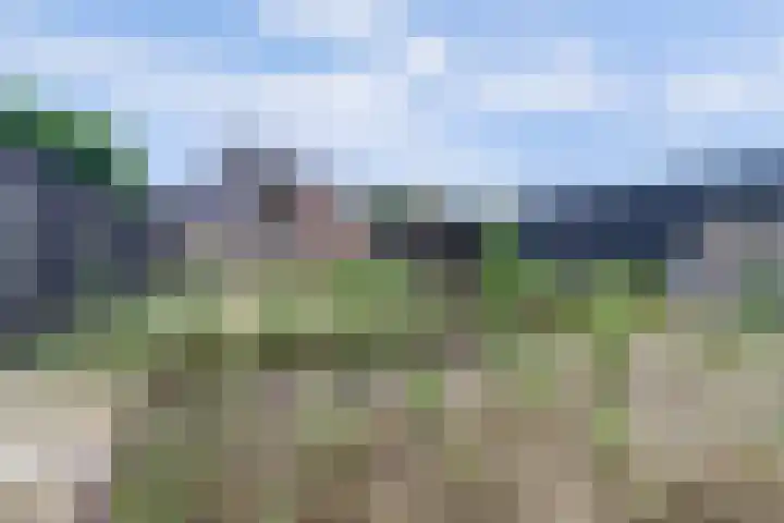 Gelderstraat 66 Hilvarenbeek thumbnail 34