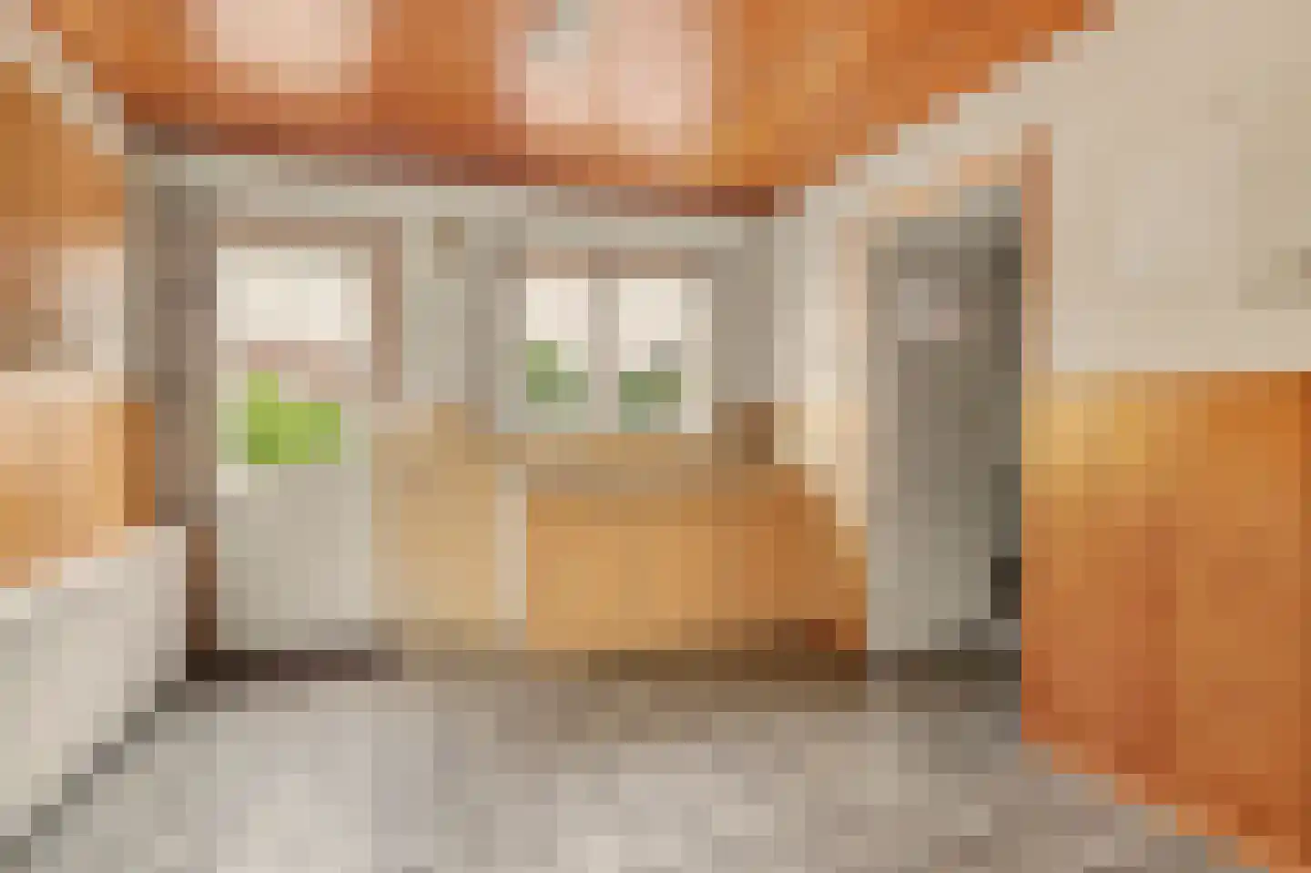 Gelderstraat 74 B Hilvarenbeek thumbnail 10