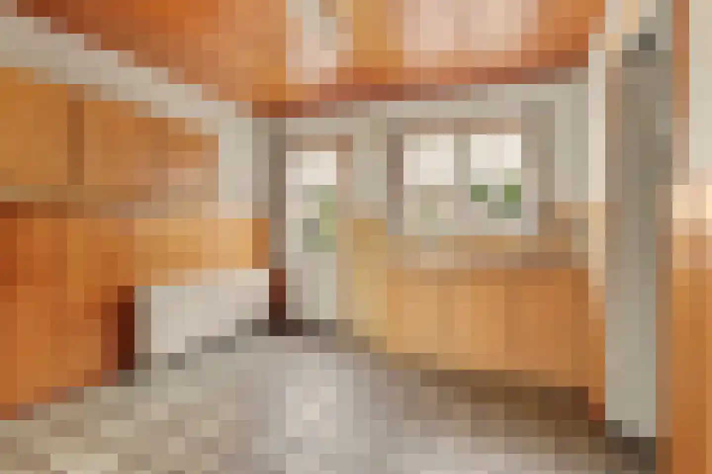 Gelderstraat 74 B Hilvarenbeek thumbnail 11