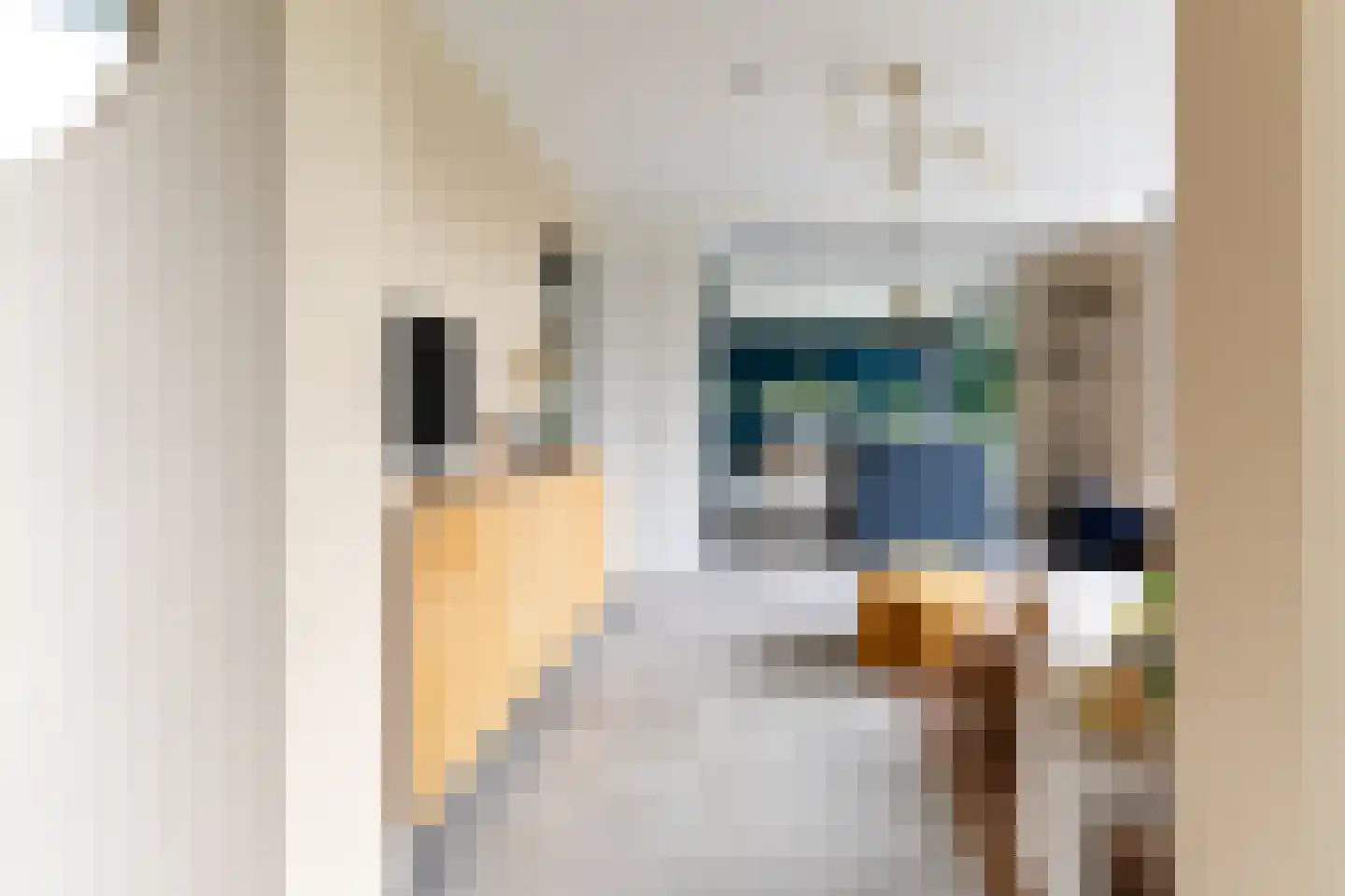 Gelderstraat 94 Hilvarenbeek thumbnail 25