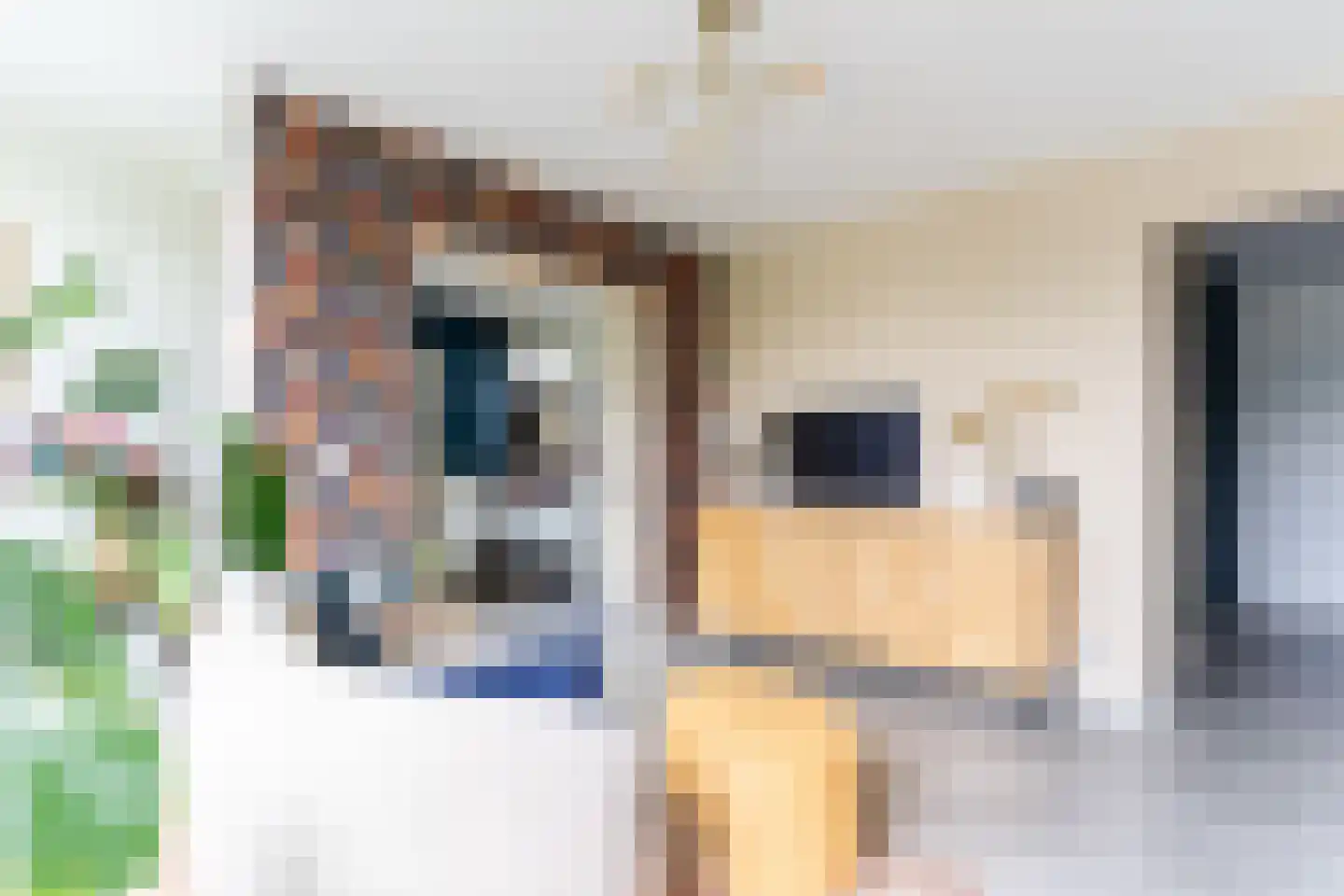 Gelderstraat 94 Hilvarenbeek thumbnail 27