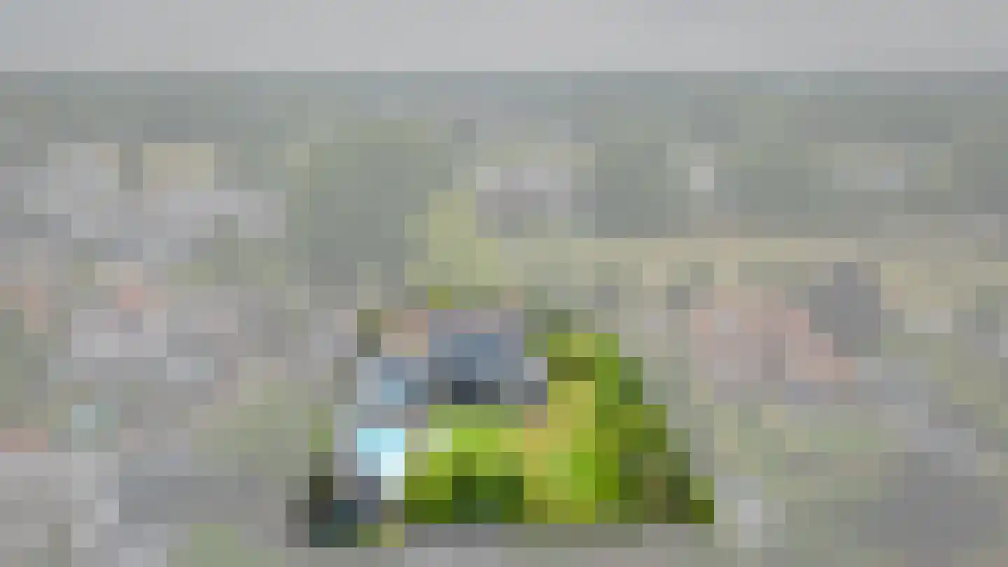 Gelderstraat 94 Hilvarenbeek thumbnail 6