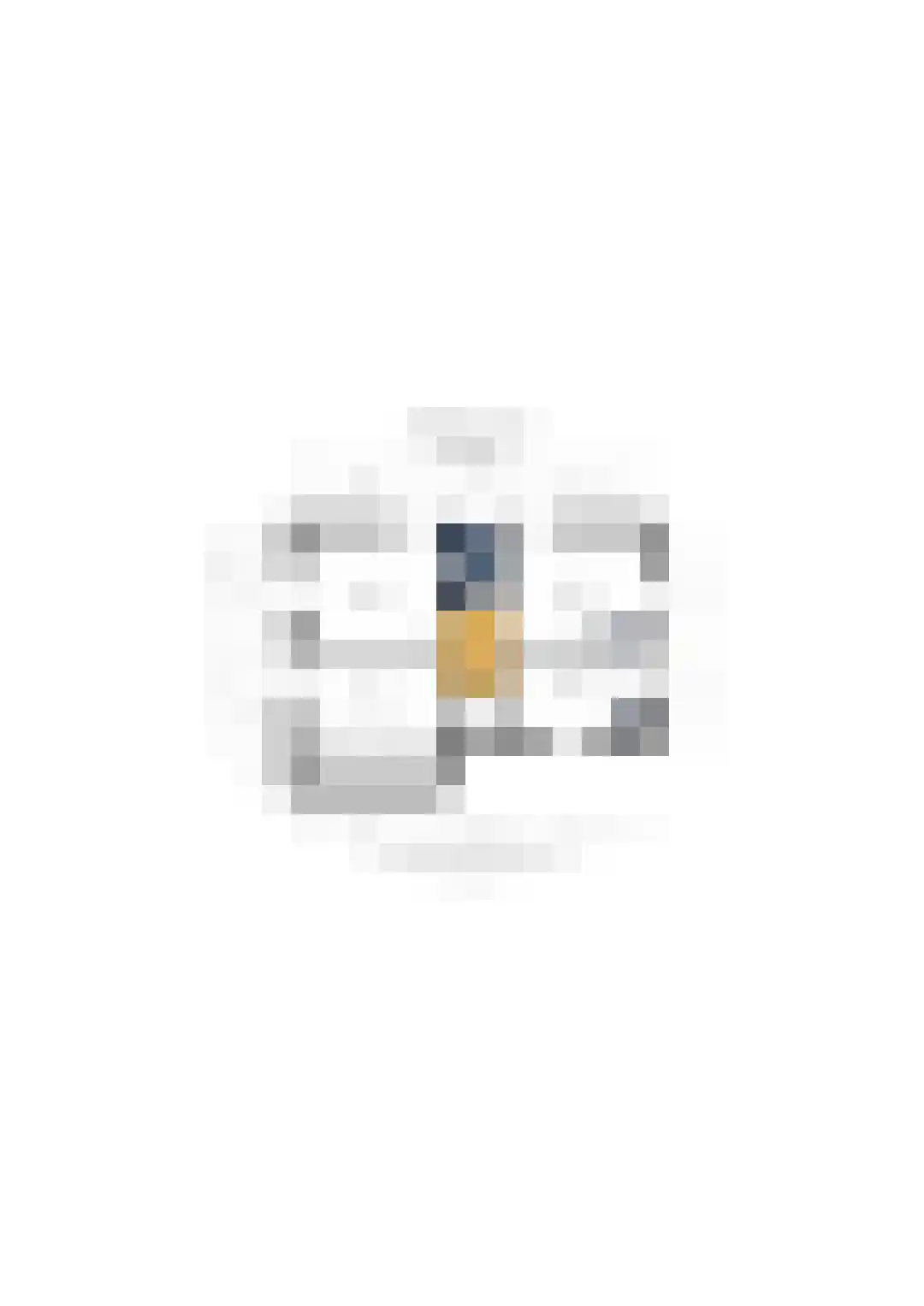 Gelderstraat 94 Hilvarenbeek thumbnail 61