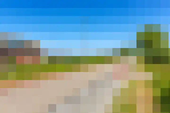 Gelderswoudseweg 20 Gelderswoude thumbnail 10