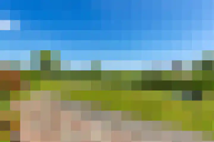Gelderswoudseweg 20 Gelderswoude thumbnail 11