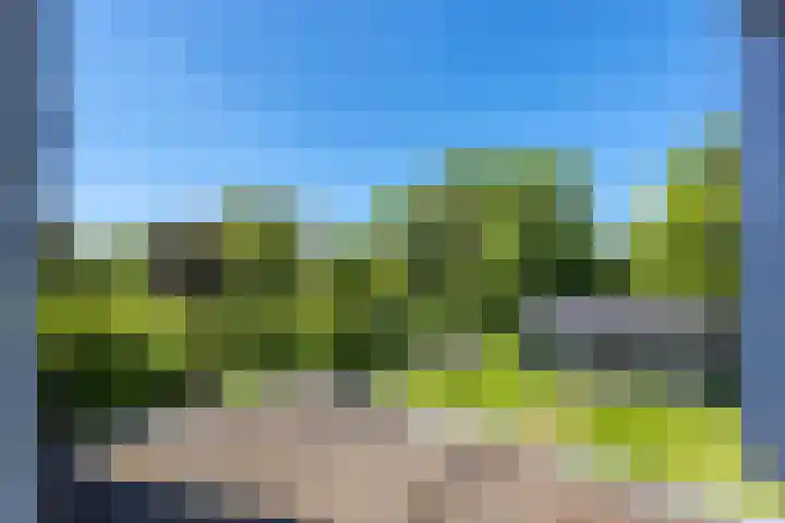 Gelderswoudseweg 20 Gelderswoude thumbnail 13