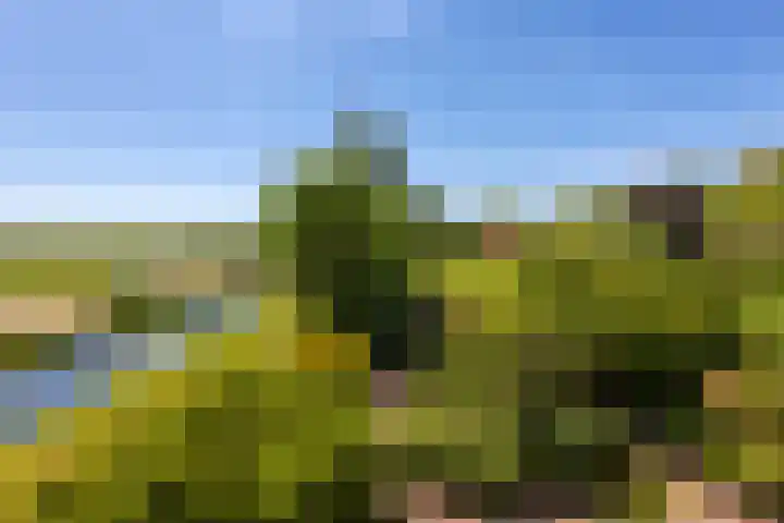 Gelderswoudseweg 20 Gelderswoude thumbnail 14