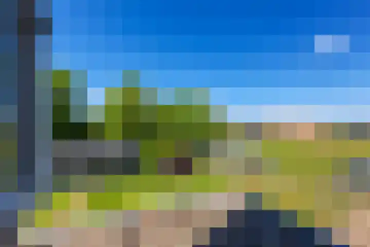 Gelderswoudseweg 20 Gelderswoude thumbnail 19