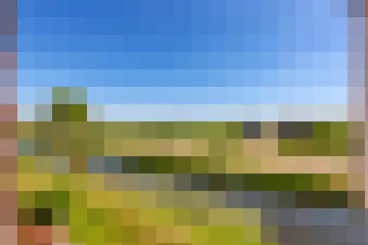 Gelderswoudseweg 20 Gelderswoude thumbnail 20