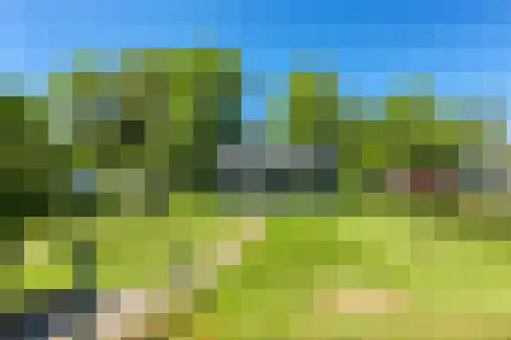 Gelderswoudseweg 20 Gelderswoude thumbnail 22