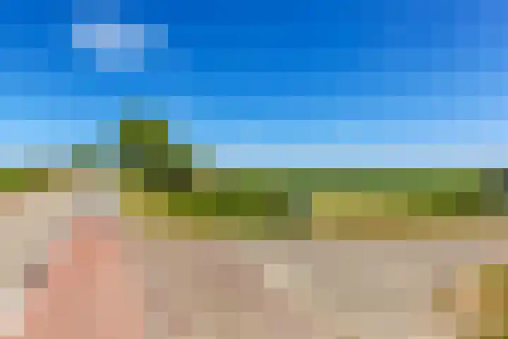 Gelderswoudseweg 20 Gelderswoude thumbnail 23
