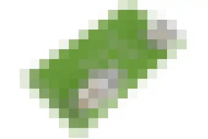 Gelderswoudseweg 20 Gelderswoude thumbnail 27