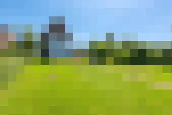 Gelderswoudseweg 20 Gelderswoude thumbnail 4