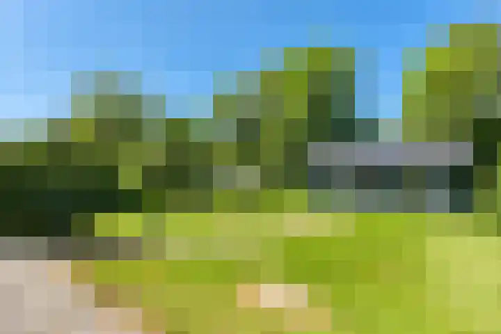 Gelderswoudseweg 20 Gelderswoude thumbnail 5