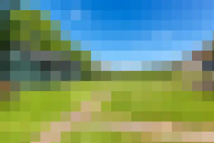 Gelderswoudseweg 20 Gelderswoude thumbnail 6