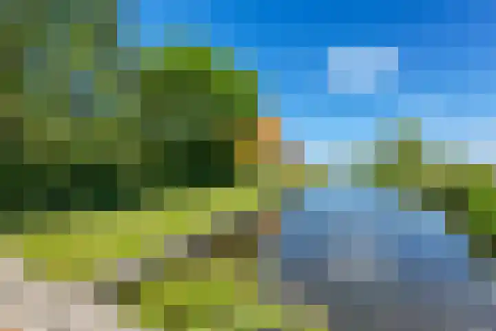 Gelderswoudseweg 20 Gelderswoude thumbnail 7
