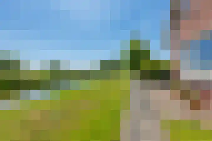 Gelderswoudseweg 20 Gelderswoude thumbnail 9
