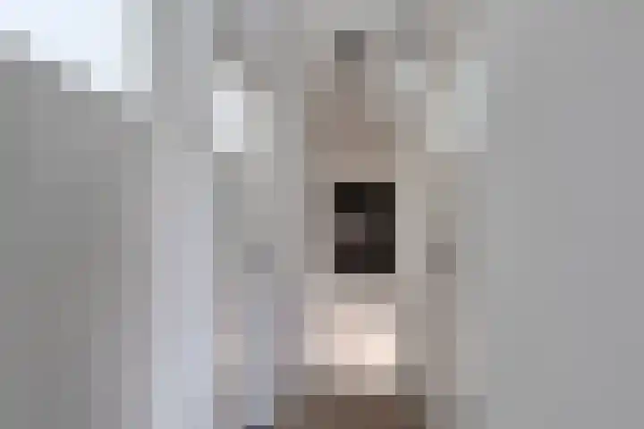 Geldestraat 22 Someren thumbnail 21