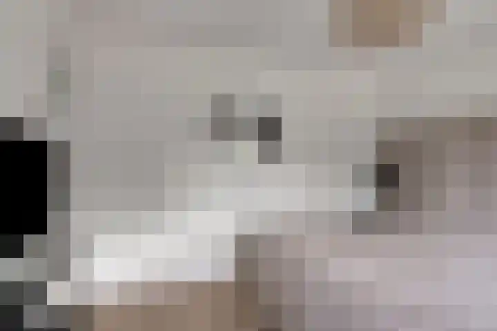 Geldestraat 22 Someren thumbnail 23