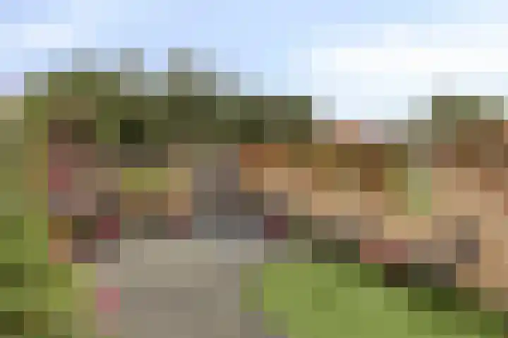 Geldestraat 22 Someren thumbnail 29