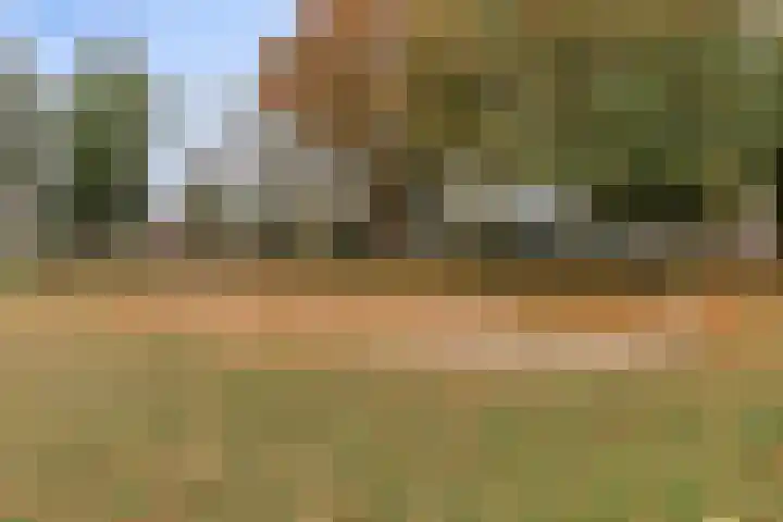 Geldestraat 22 Someren thumbnail 32