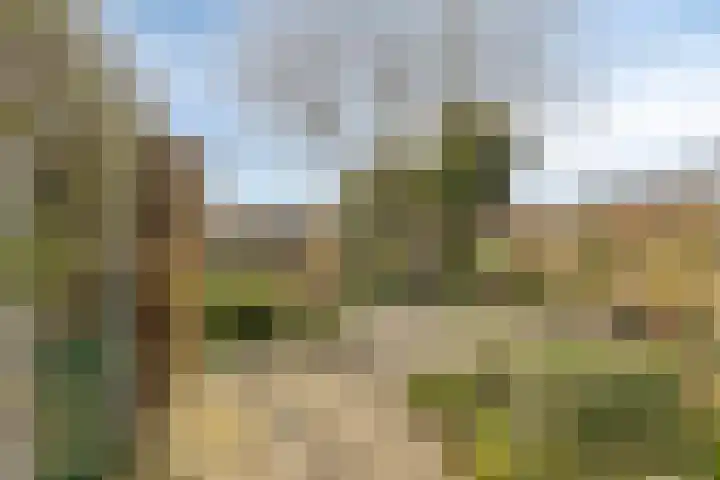 Geldropsedijk 24 Nuenen thumbnail 41