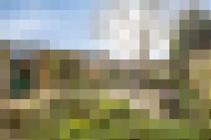 Geldropsedijk 24 Nuenen thumbnail 42