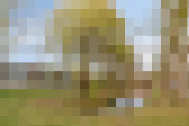 Geldropsedijk 24 Nuenen thumbnail 46