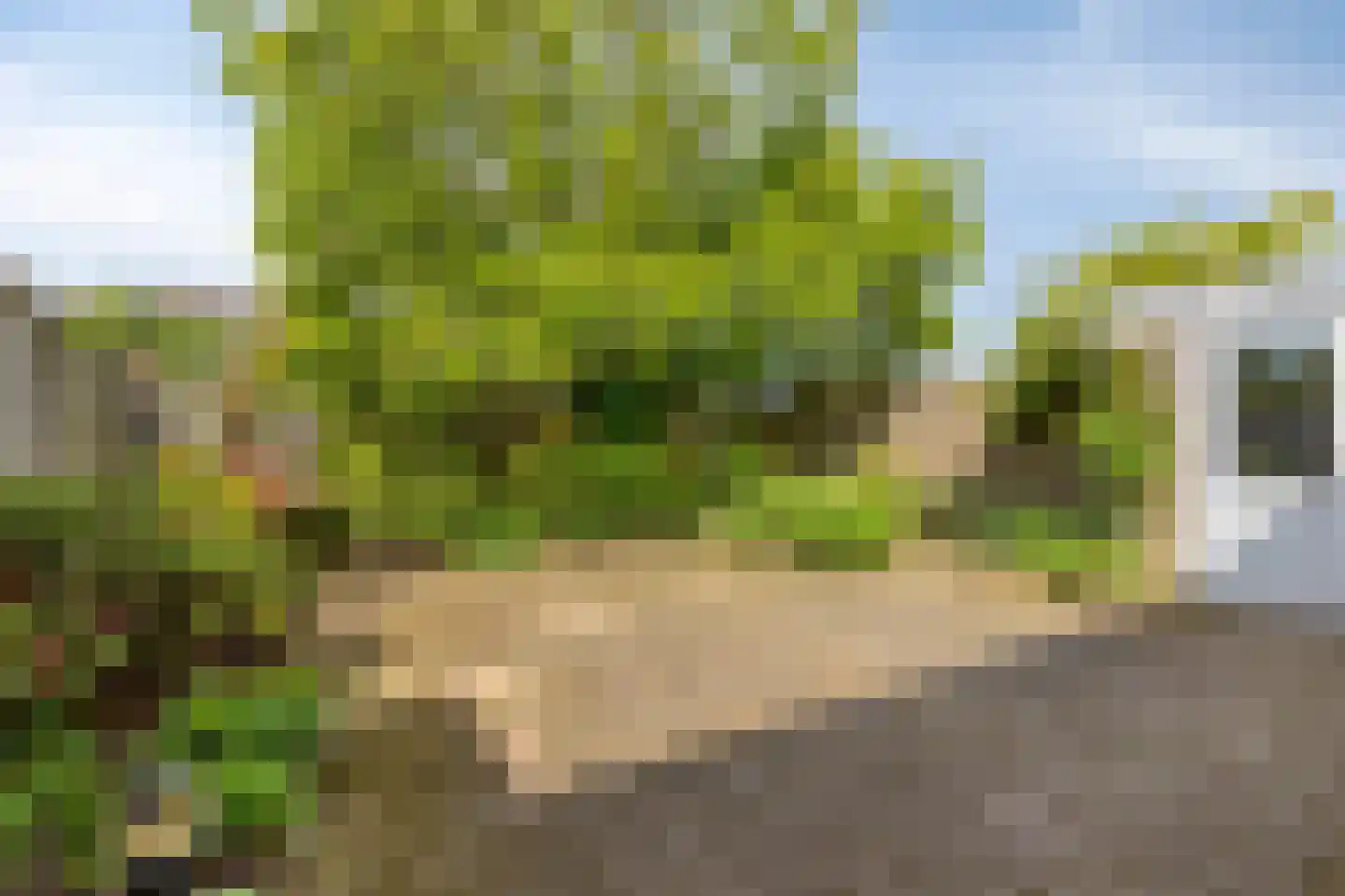 Geldropsedijk 30 Nuenen thumbnail 23
