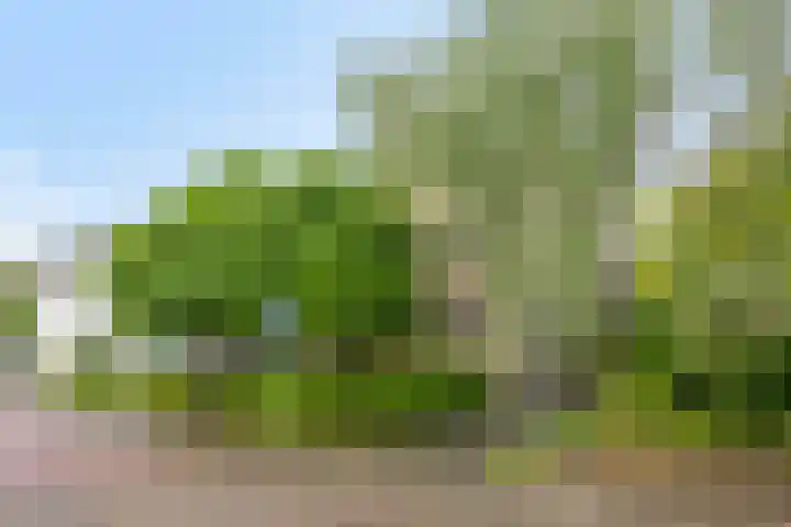 Geldropsedijk 48 Nuenen thumbnail 39