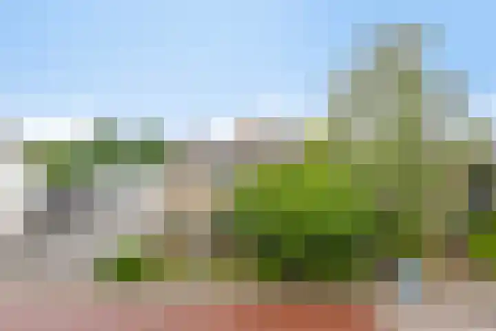 Geldropsedijk 48 Nuenen thumbnail 40