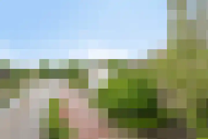 Geldropsedijk 48 Nuenen thumbnail 41