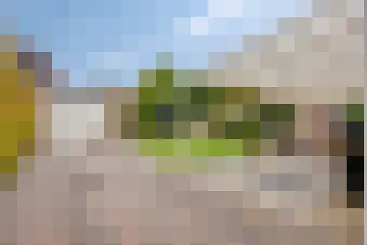 Geldropsedijk 9 Nuenen thumbnail 43