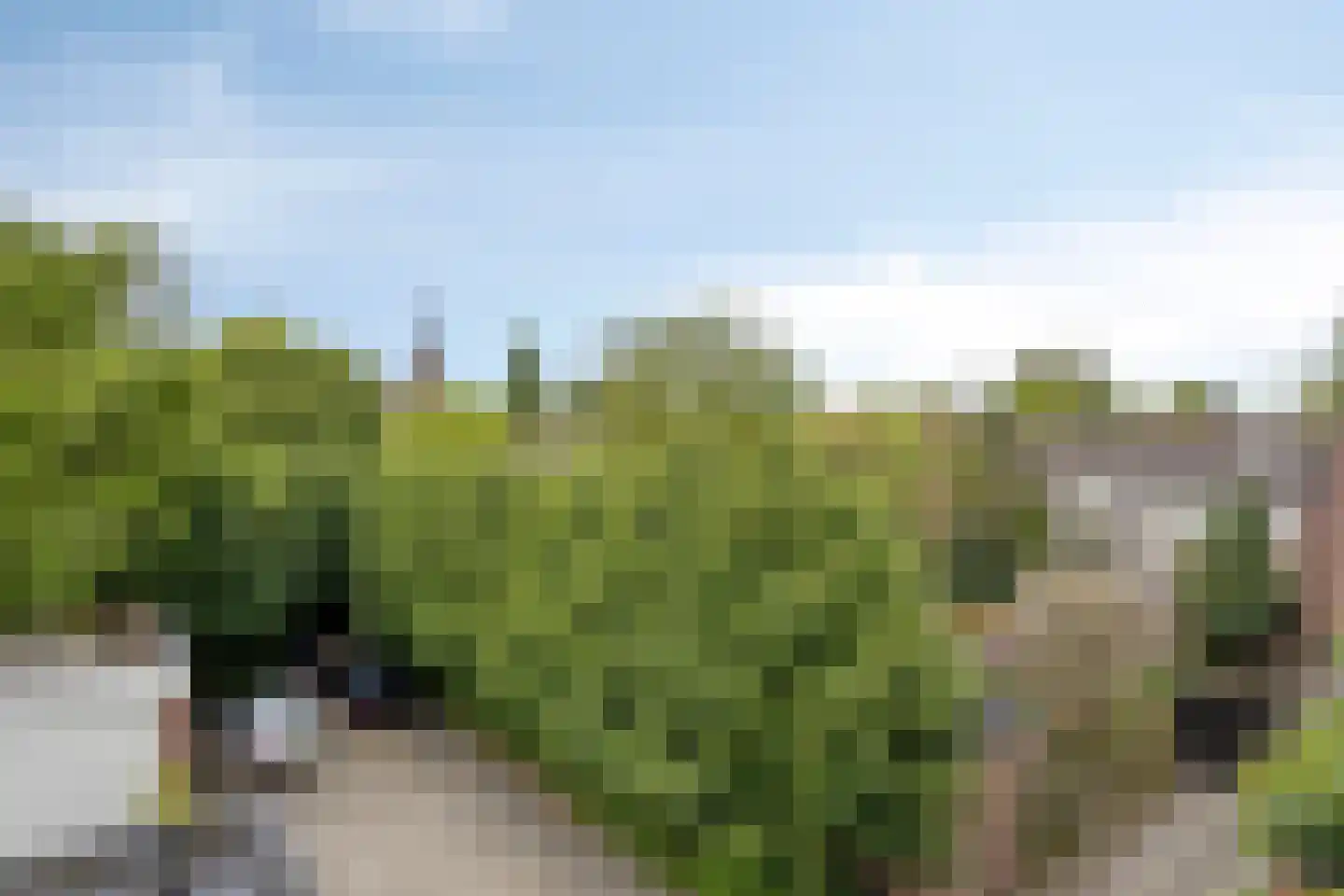 Geldropseweg 116 A Eindhoven thumbnail 15