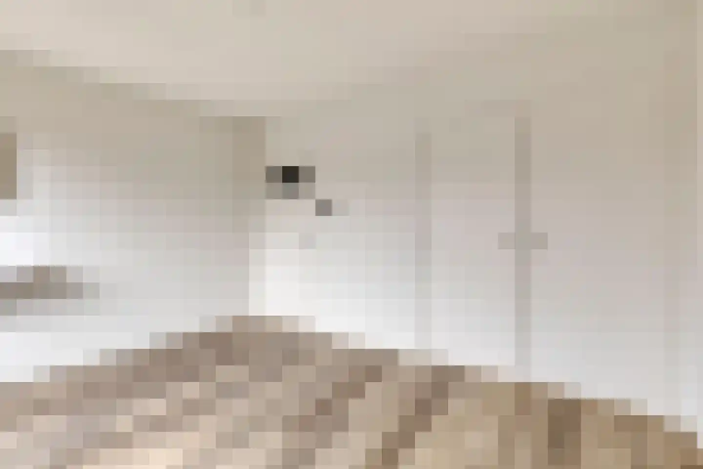 Geldropseweg 116 A Eindhoven thumbnail 17
