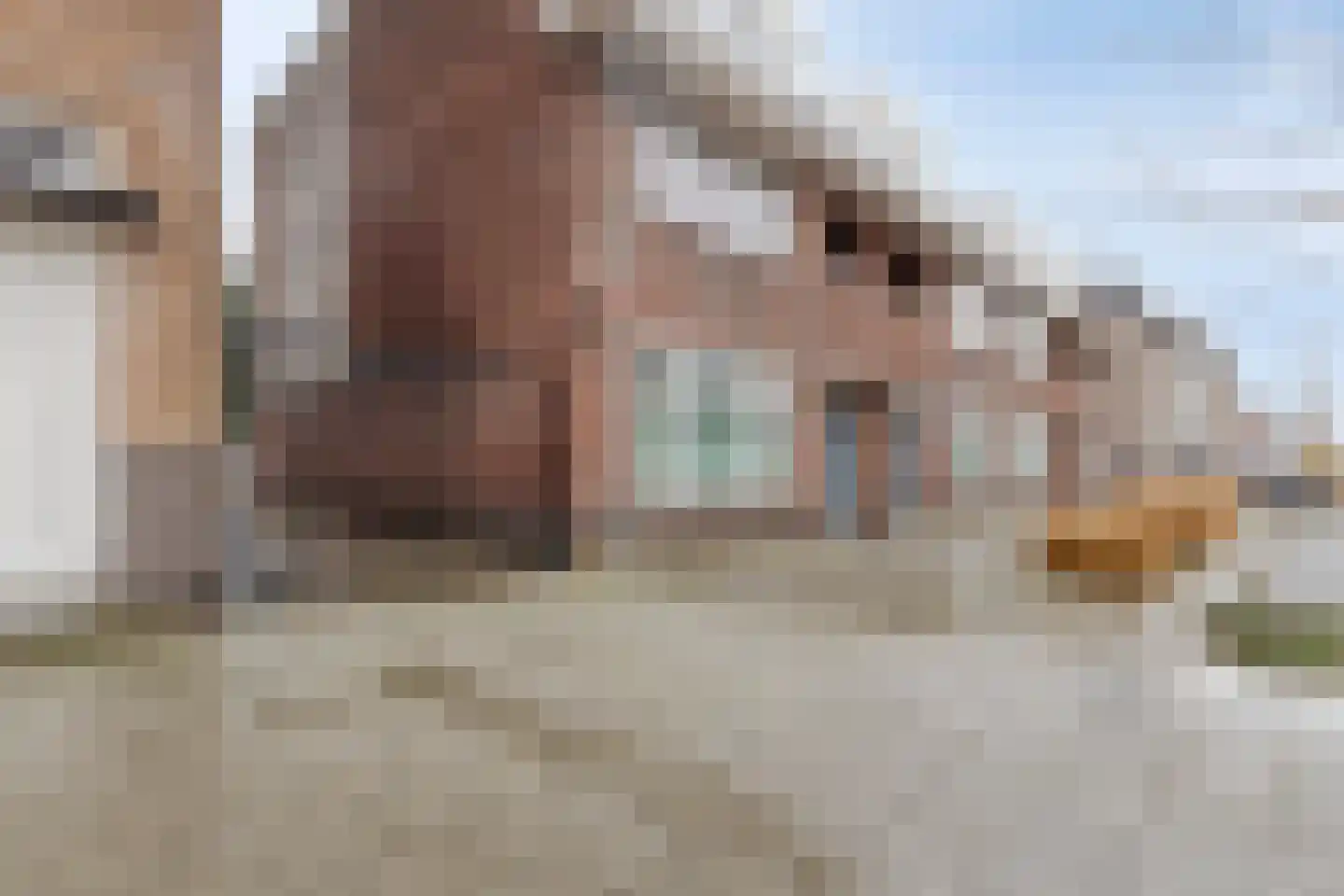Geldropseweg 116 A Eindhoven thumbnail 24