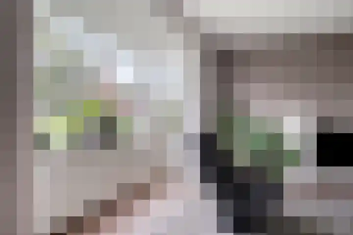 Geldropseweg 146 Eindhoven thumbnail 11